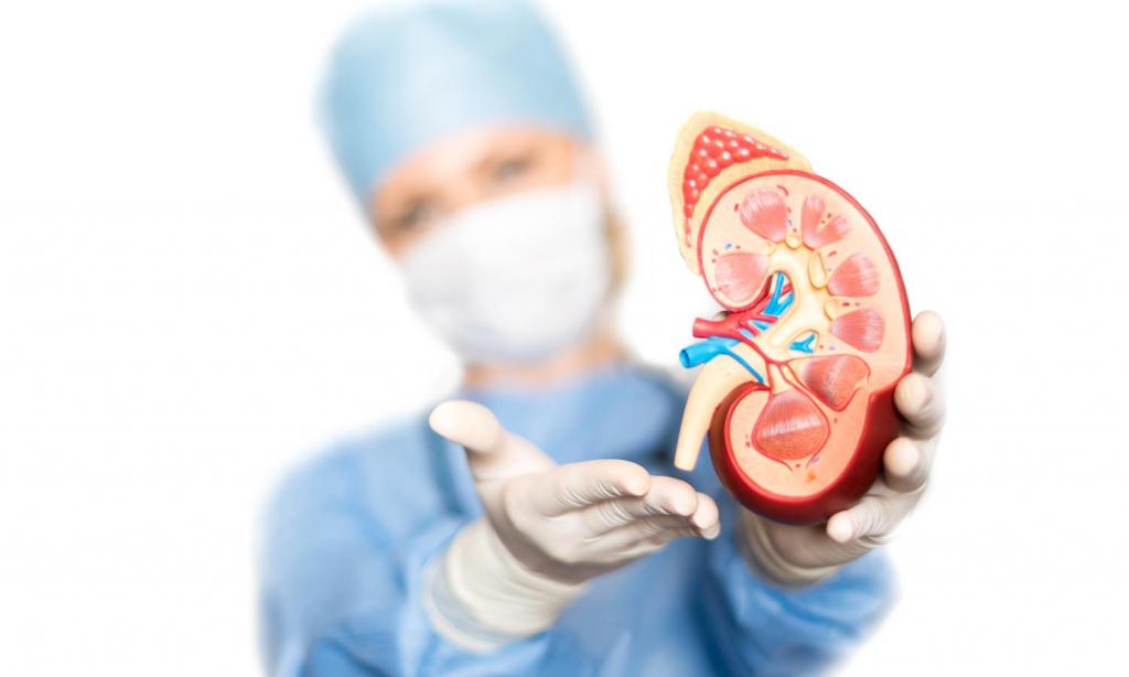 LA TRANSPLANTATION RÉNALE