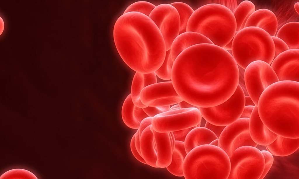 HEMATOLOJİ