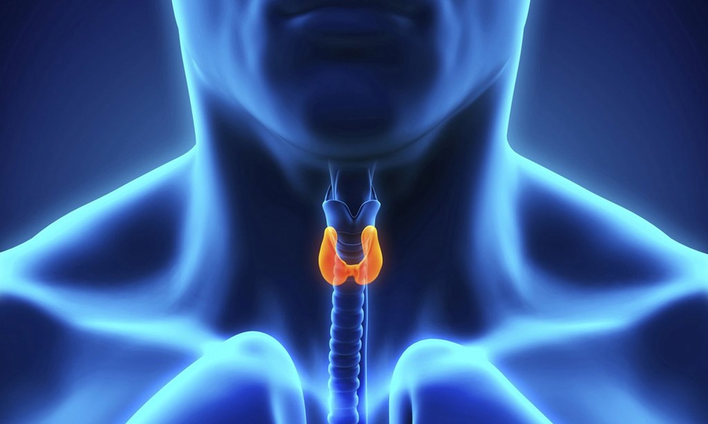 ENDOCRINOLOGY